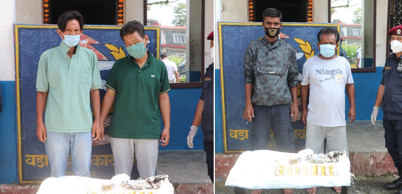 पोखरामा तरकारी बोक्ने गाडीमा लागुऔषध ओसार्ने ४ जना पक्राउ 